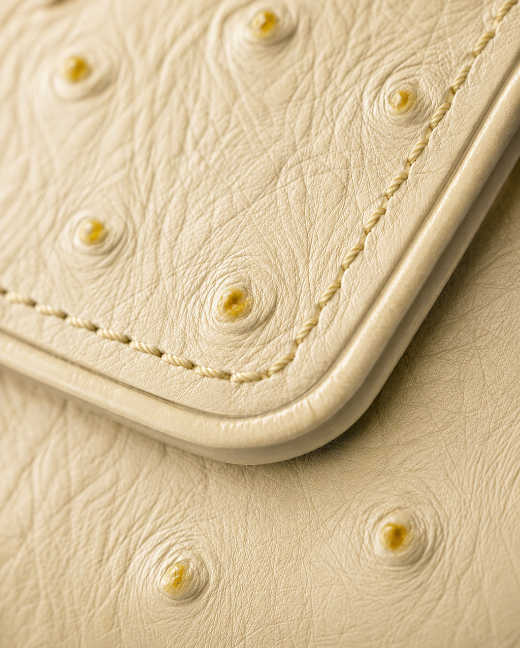 White and brown ladies leather clutch wallet held in hand