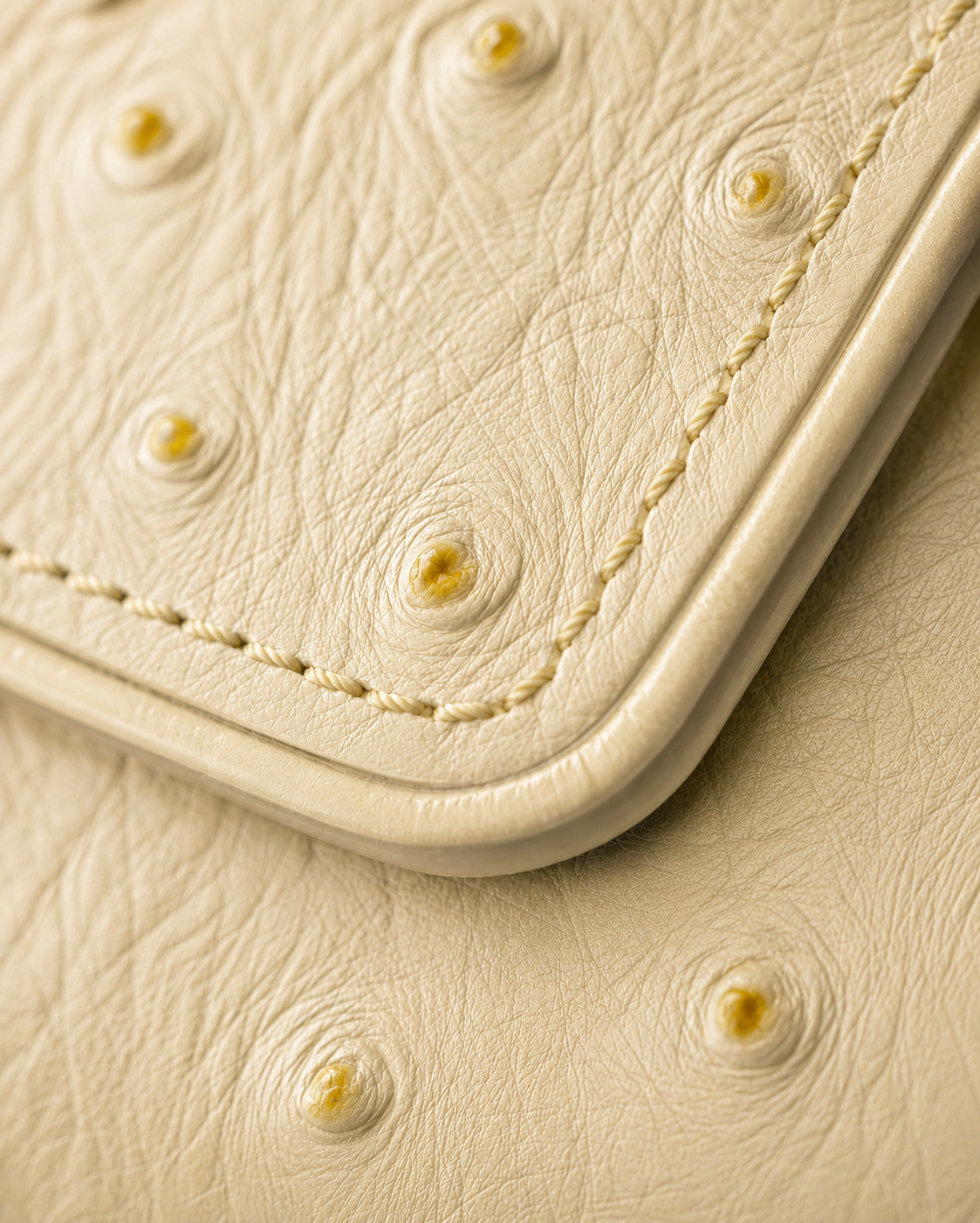 White and brown ladies leather clutch wallet held in hand