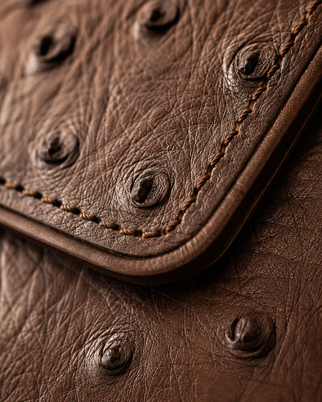 Chocolate brown ladies clutch interior — zip pocket and card slots in full-grain leather