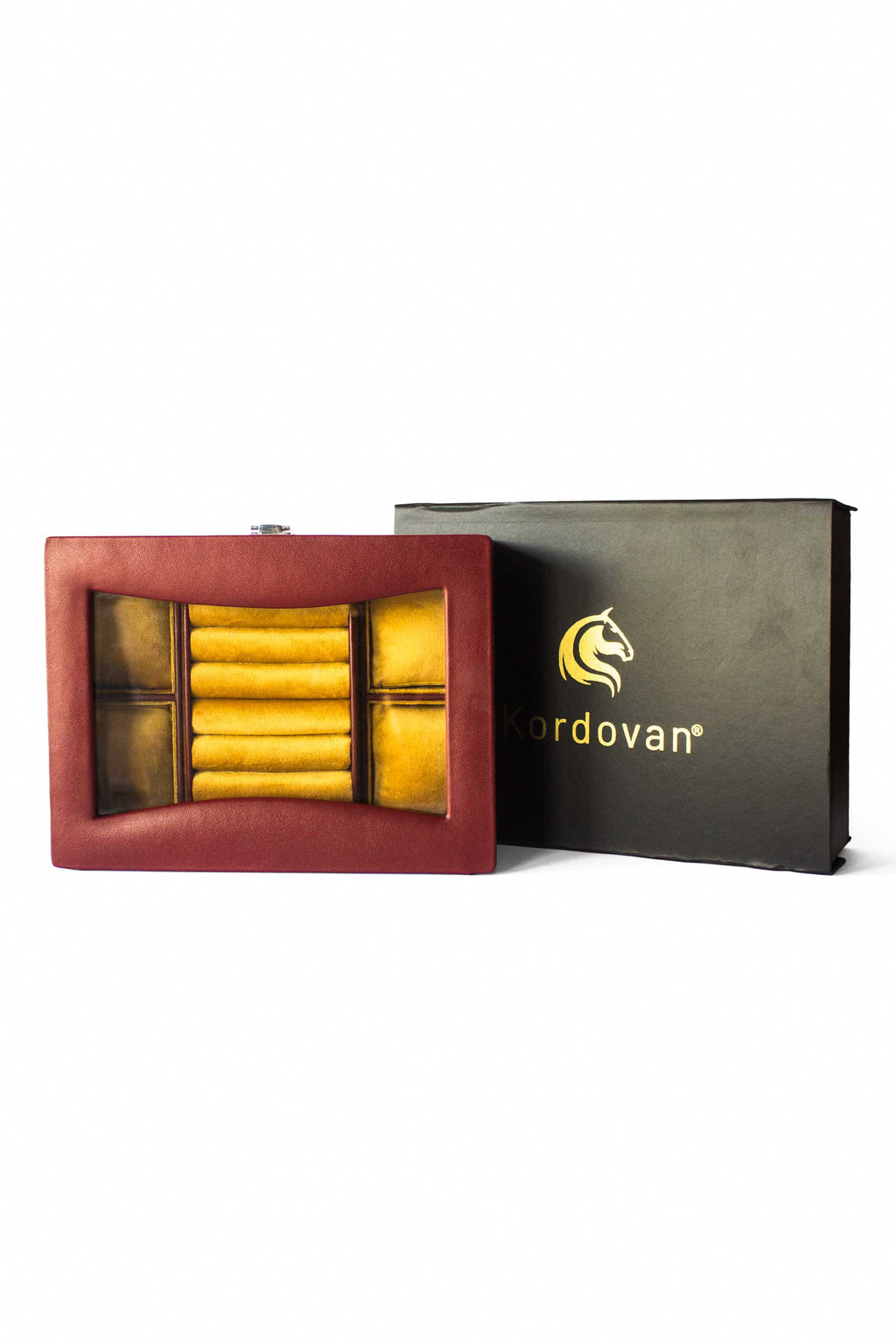 TP The Deluxe Jewelry and Watch Organizer Case